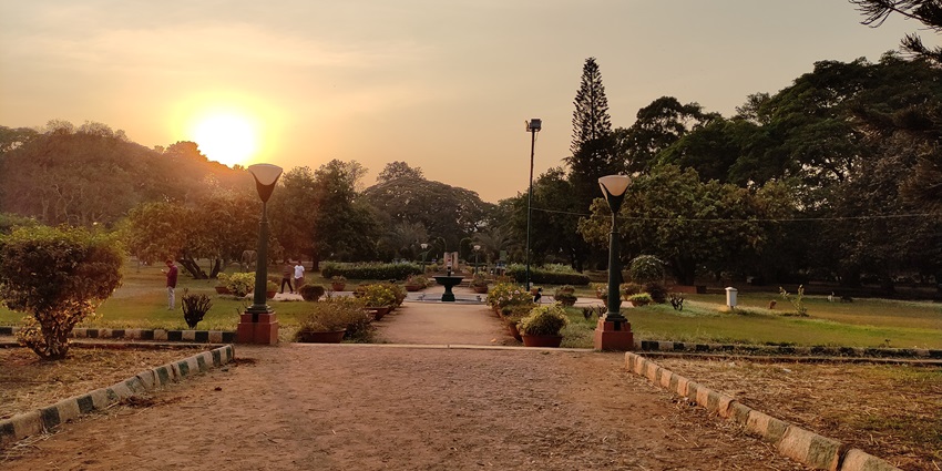 Lalbagh Botanical Garden: A lush, expansive park with diverse plant species