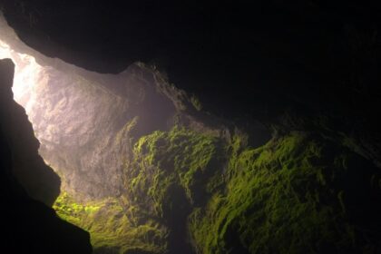 A breathtaking view of a cave in North Goa with lush greenery during the daytime.