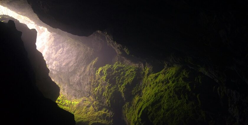 A breathtaking view of a cave in North Goa with lush greenery during the daytime.