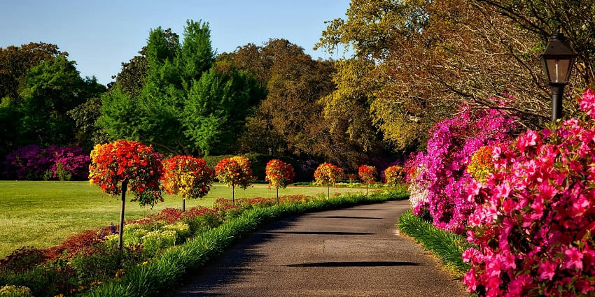 A mesmerising view of Mindspace Garden featuring lush greenery and colourful blooms.