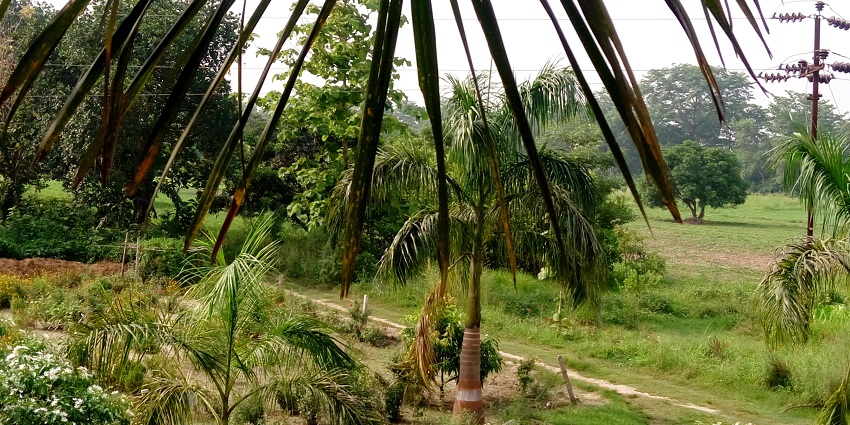 Lendi Garden is one of the best places to visit in Shirdi for couples.