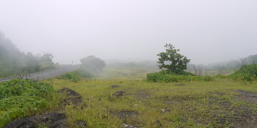 Lion's Point offers breathtaking views of lush landscapes and surrounding valleys.