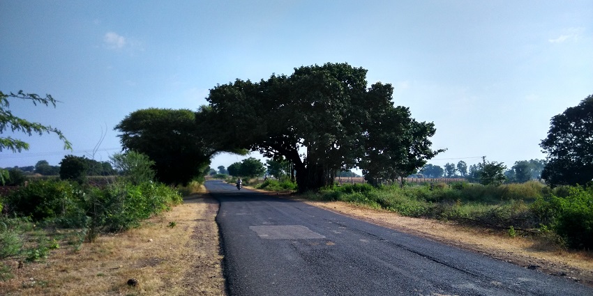 Neemuch-Ratangarh road with a clear path stretching between green fields and trees.