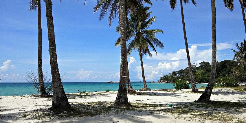 A view of coconut trees and the blue-green sea at Trikora Beach on Bintan Island