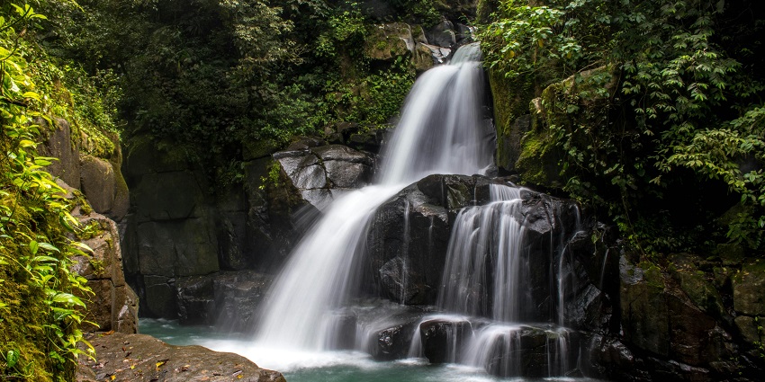 A picturesque waterfall flowing through a lush forest, surrounded by vibrant greenery.