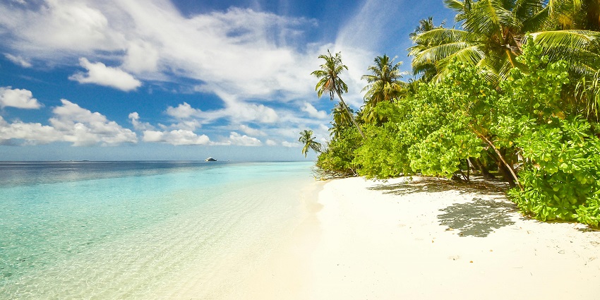 An image of Sulawesi Island showcasing its stunning landscapes and cultural vibrancy.