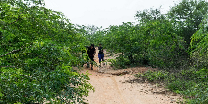 Pathway through Haryana road toward the historic Badshahpur Fort.