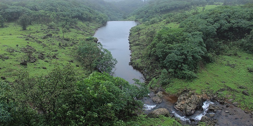 Maharashtra during monsoon with lush greenery and humid atmosphere.