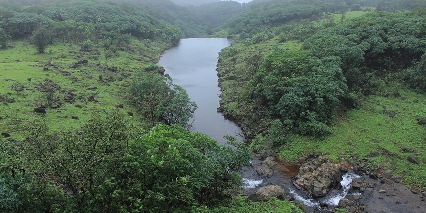 Image of lush greenery - Monsoon, changes the landscape from dry grassland to evergreen blanket