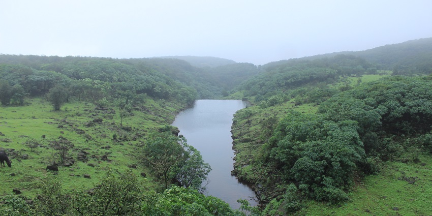 Admire the stunning entrance of Pratapgad Fort, nestled in the scenic Western Ghats.