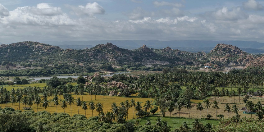 View of the Kanha National Park surrounded by lush greenery and showcasing diverse flora and fauna.