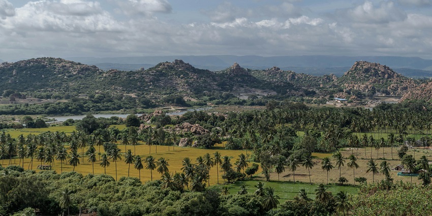View of the Kuno National Park surrounded by lush greenery and showcasing diverse flora and fauna.