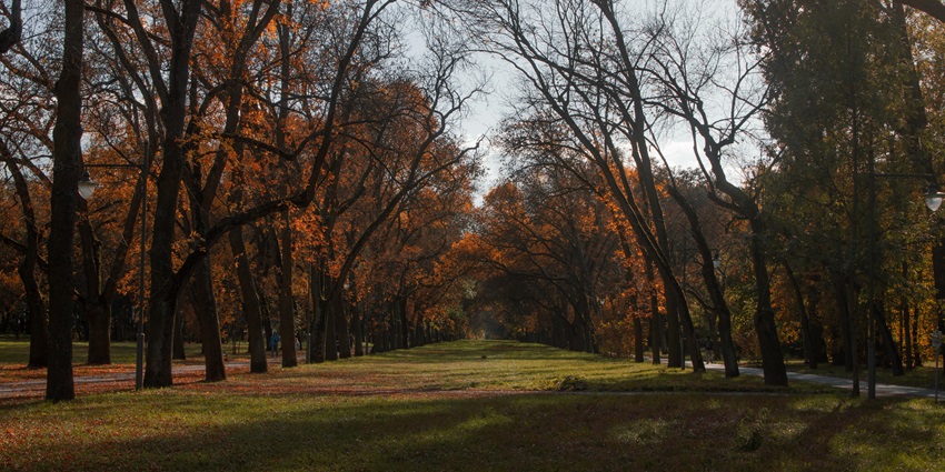 Scenic view of Bhondsi Nature Park photos with trees and walking paths.