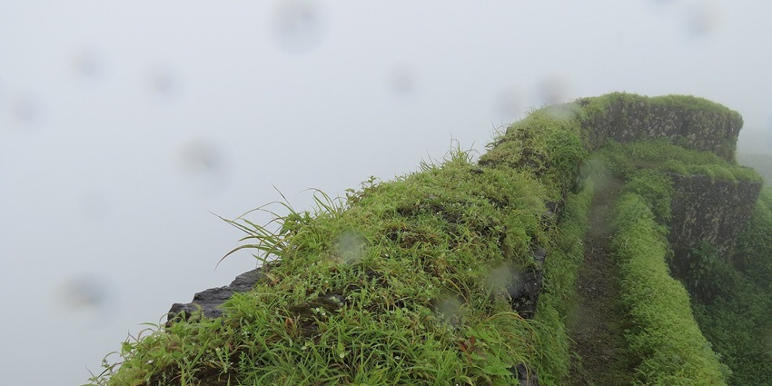 Stone wall of Torna Fort stretching across the hillside with a scenic mountainous backdrop