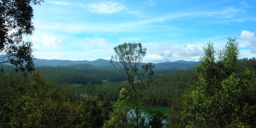 An image of the magnificent view of nature near the Catherine Waterfalls Ooty.