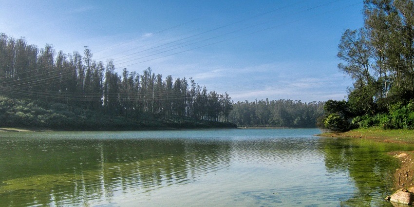 A scenic vista justifying the serene location of Dakshinachitra Museum, Tamil Nadu.