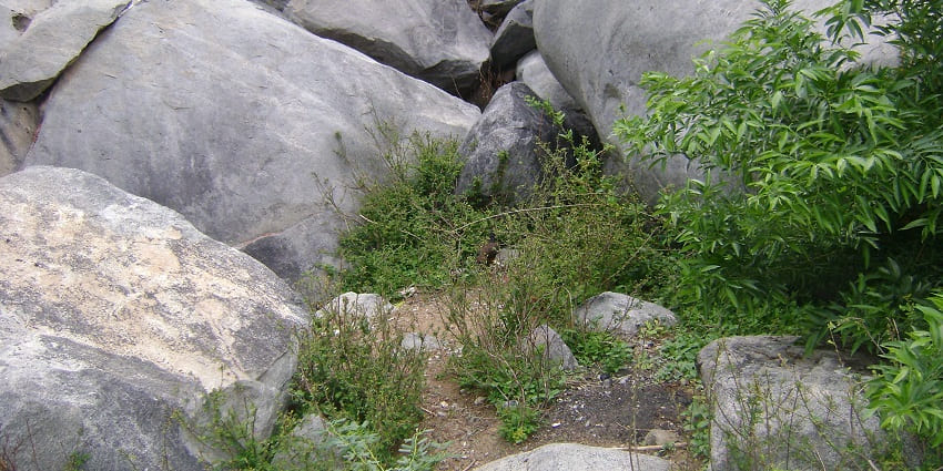 Rayakottai, also spelled Rayakotta is a town in Denkanikottai taluk, Krishnagiri District, Tamil Nadu, India