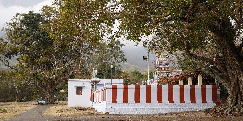 At Mariamman Temple, ancient traditions continue to thrive