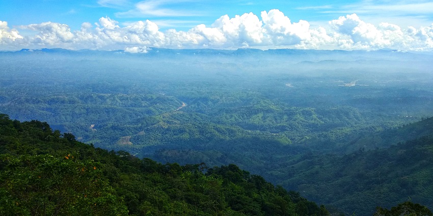 Enjoy Velliangiri Hills trekking which offers stunning views and rich biodiversity.