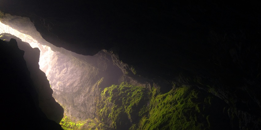 A mindblowing view of an interior of a cave with lush greenery during the daytime.