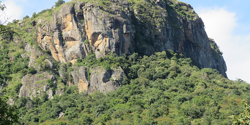 A scenic view of Ooty Masinagudi Road, surrounded by lush greenery and hills.