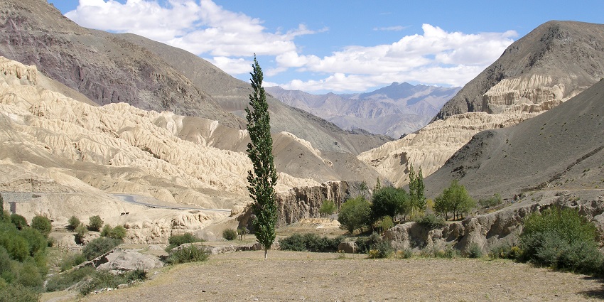 Image of mountain valleys in Ladakh surrounded by brown rocks during day time