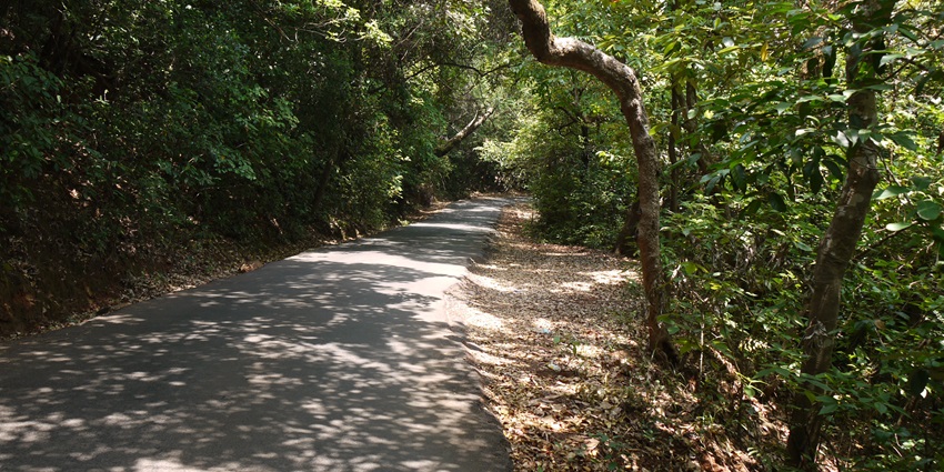 Lodwick Point is one of the most popular places to visit in Mahabaleshwar for visitors.