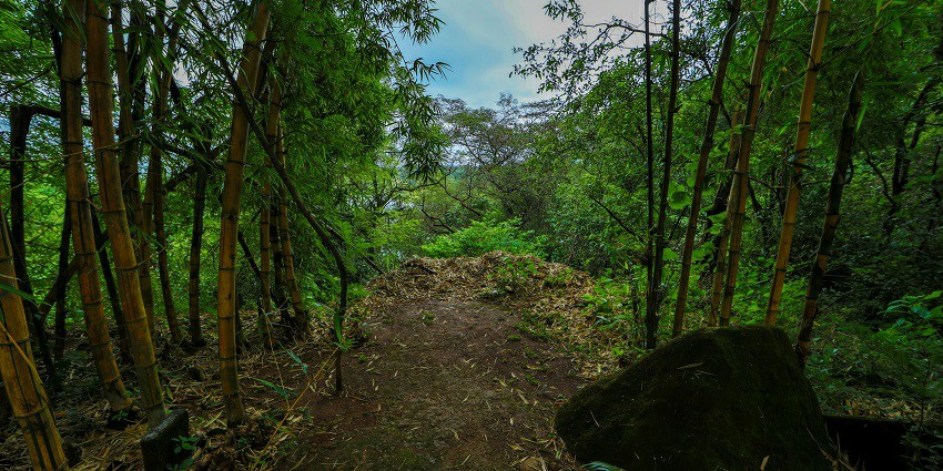 Lonavla offers stunning landscapes, lush greenery, and pleasant weather year-round.