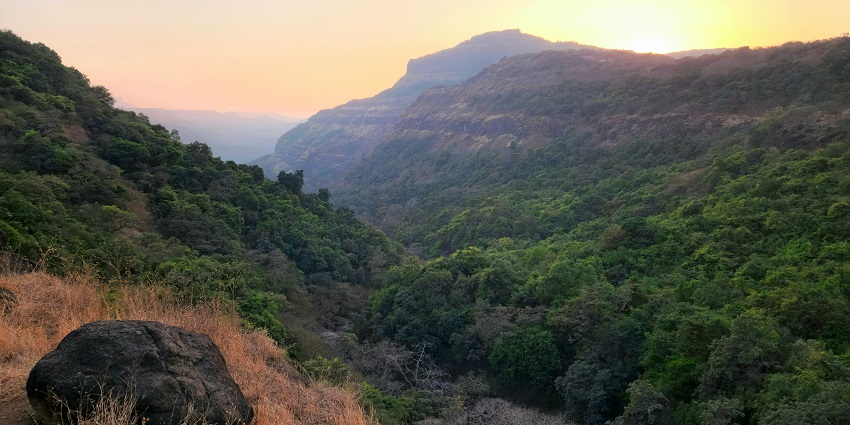 A walk through the mist in Lonavala hill station surrounded by lush greenery in the day.