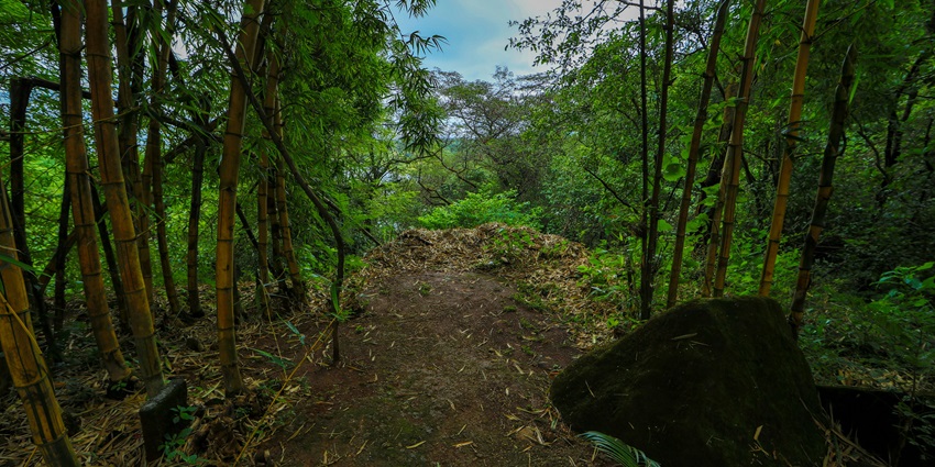 A landscape of Lonavala in the monsoon falls - one of the places to visit near Dombivli.