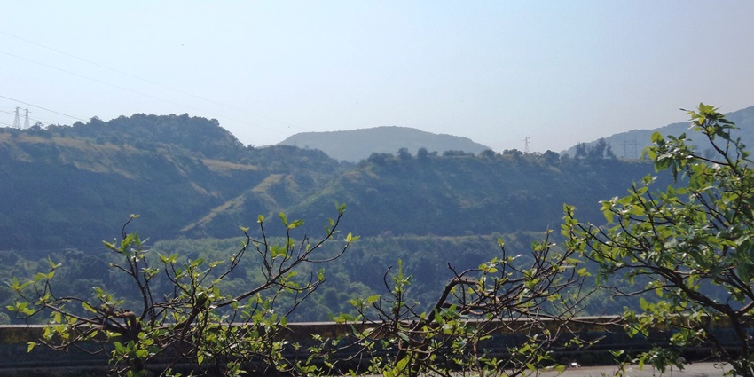 An image of the mist-covered hills of Lonavala during the rainy season.