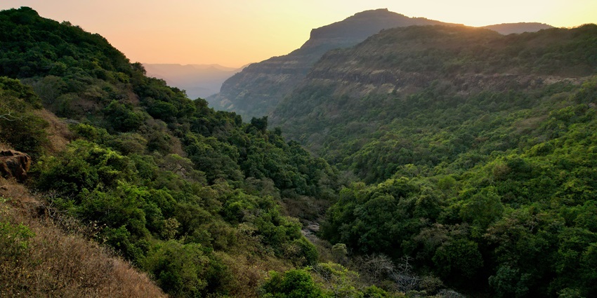 Lonavala's monsoon unveils lush greenery, misty hills, and cascading waterfalls