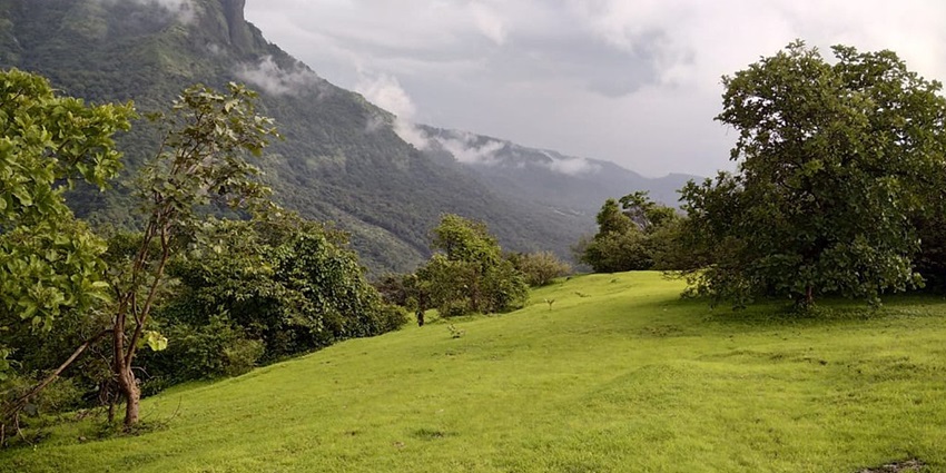 Green hills of Lonavala under misty skies, with lush landscape filled with trees.