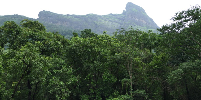 A picture of the lush green valley of Lonavala with views of the ghats in the background