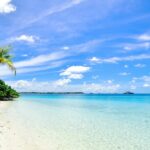 An image of the scenic Lovina Beach featuring black sand and calm waters under a clear sky