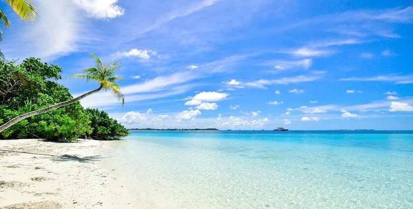 An image of the scenic Lovina Beach featuring black sand and calm waters under a clear sky