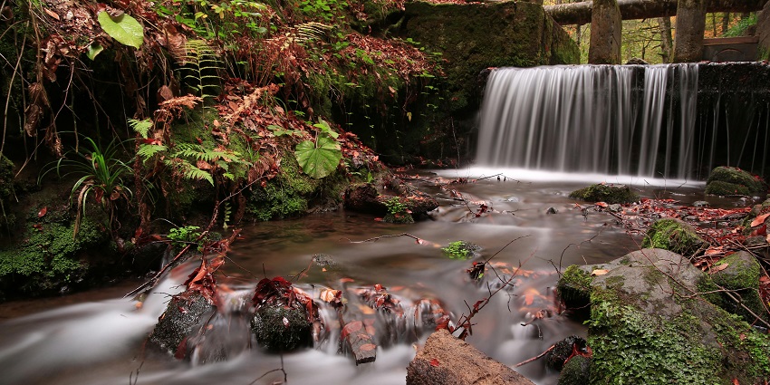 A scenic glimpse of Maasila Falls in Tamil Nadu, one of the serene Erode waterfalls.