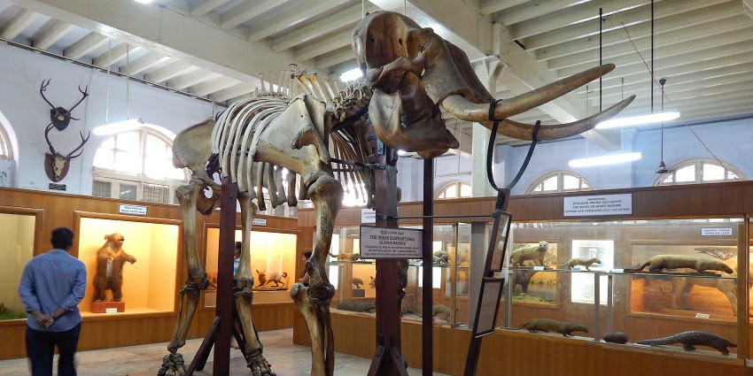 This is one of the best Chennai museums for engineering and technology in India.