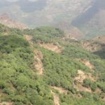 Panoramic view of Mahabaleshwar hills with green landscapes and clear skies