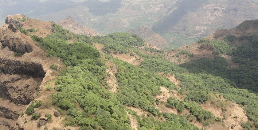 Panoramic view of Mahabaleshwar hills with green landscapes and clear skies