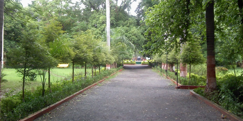 Explore the lush greenery of Maharajbag, a popular destination near Gorewada Zoo!