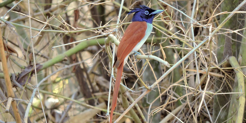 Maharashtra Nature Park, one of the places to Visit in Kurla for Ecological retreat.