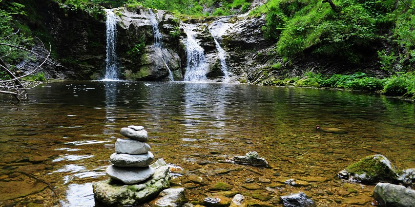 An image of Main Falls’ dense forest and one of the top places to visit in Courtallam.