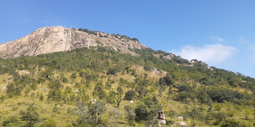 A tall mountain located near Bangalore with lush greenery and rocks in the surroundings
