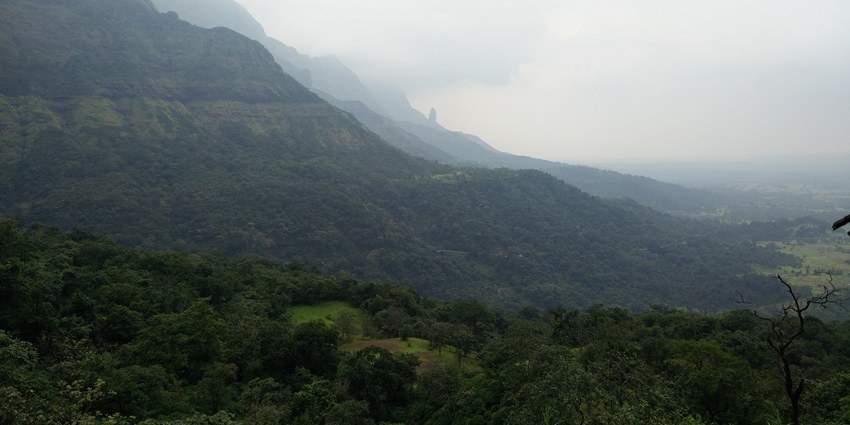 A picture showing the vast cover of lush greenery at the Malhej Ghats from a hill-top