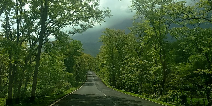 Winding road at Malshej Ghat surrounded by lush green hills and misty valleys.