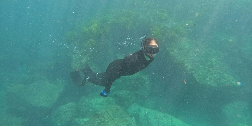 Snorkelling and scuba diving are famous activities at the Malvan Marine Sanctuary