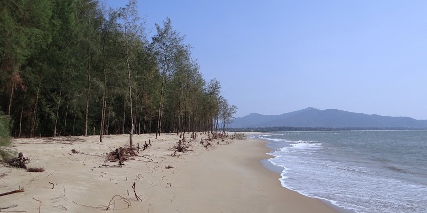 Serene beach paradise with lush greenery, calm waves, and solitude.