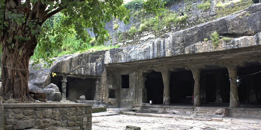 Ancient rock-cut Kanheri Caves with stone pillars, a large tree, and greenery above