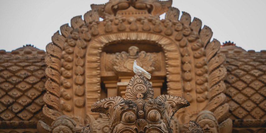 An image showing a white bird sitting on a temple rooftop at Sant Damaji.